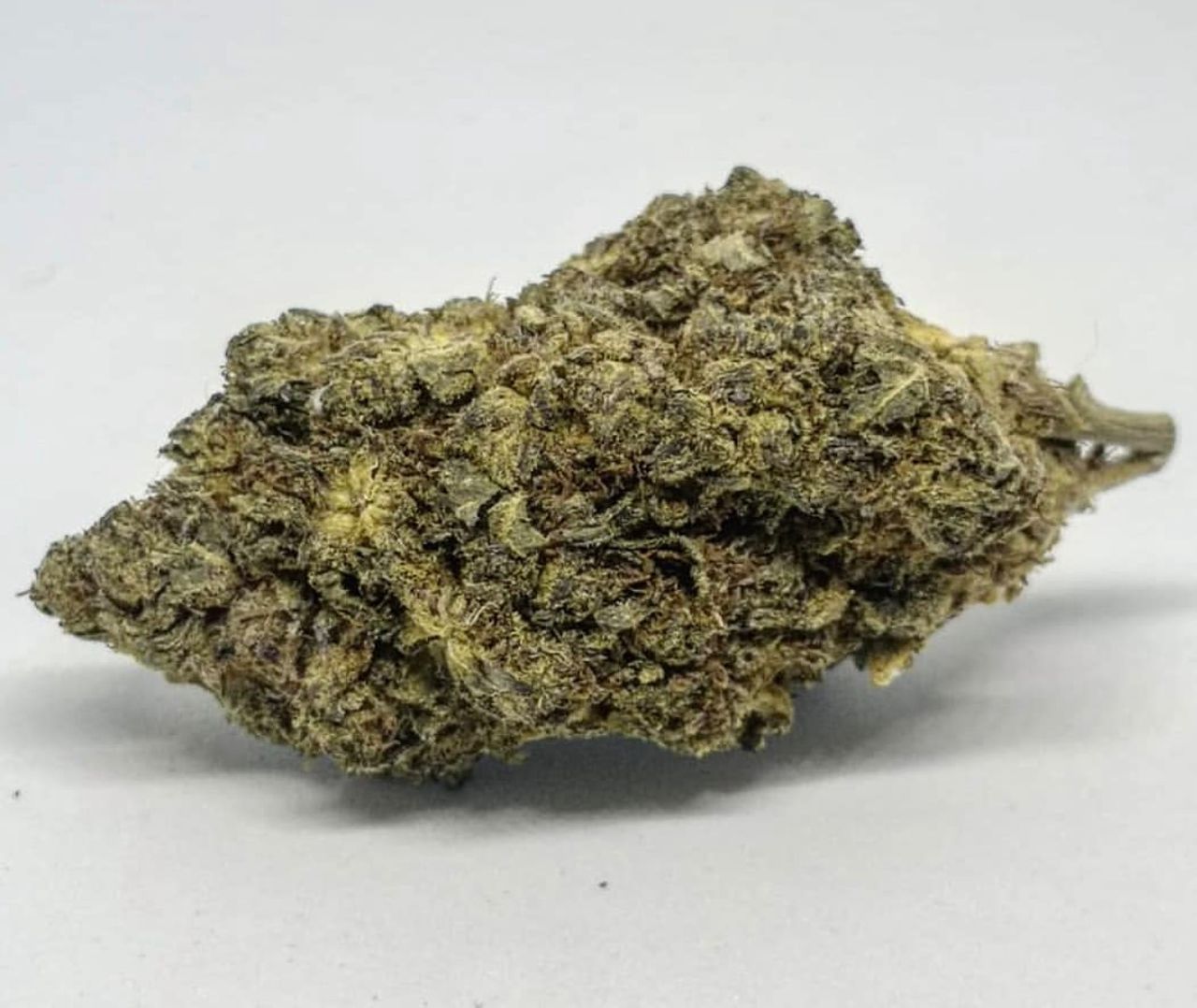black berry