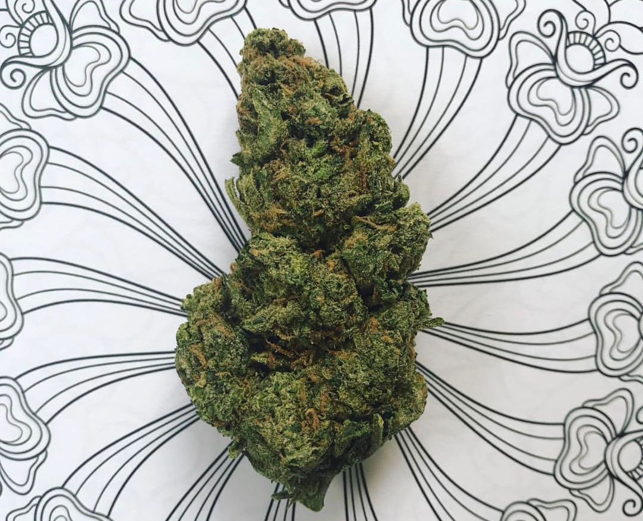 blue dream buy marijuana online