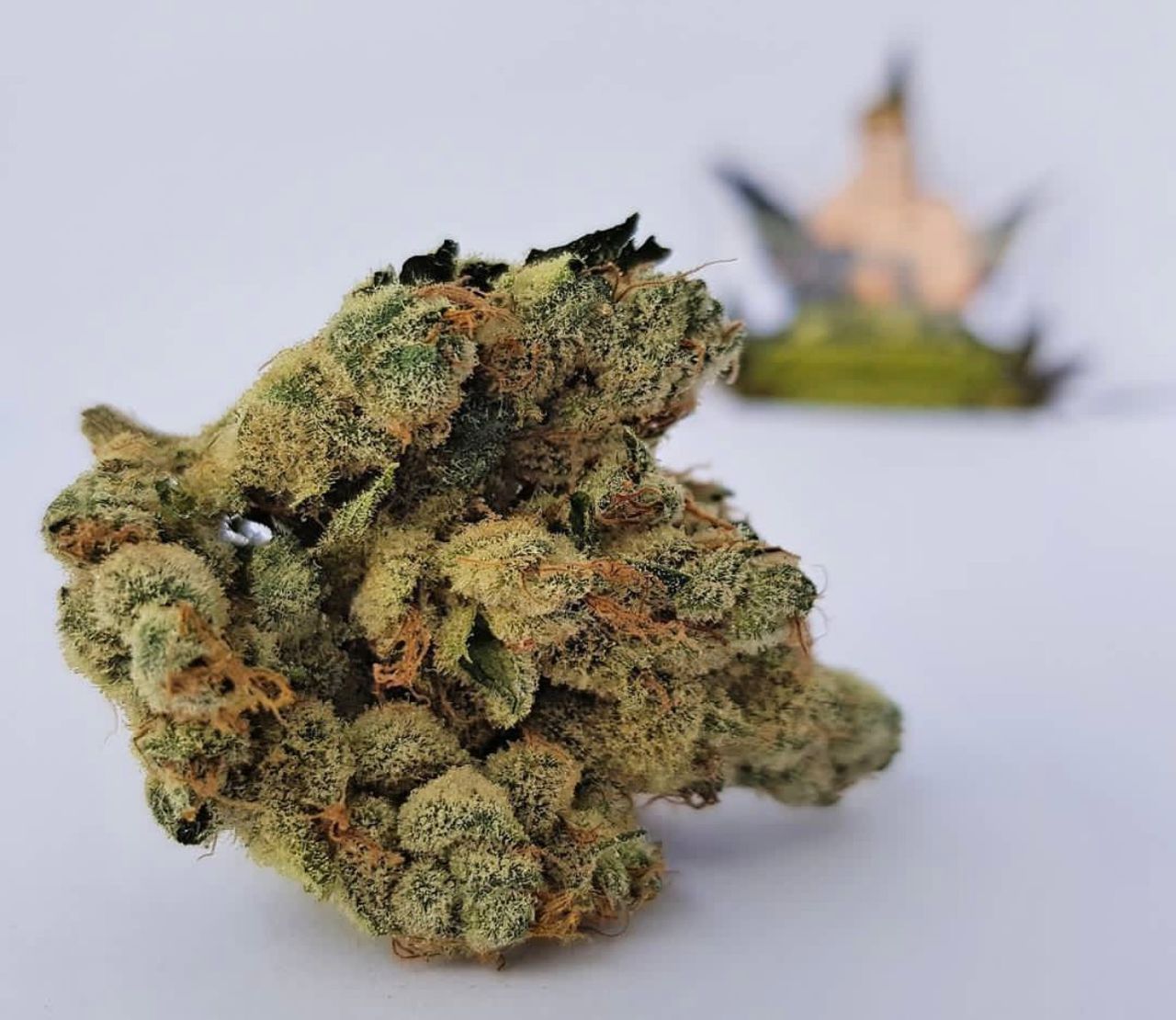 gorilla glue buy marijuana online