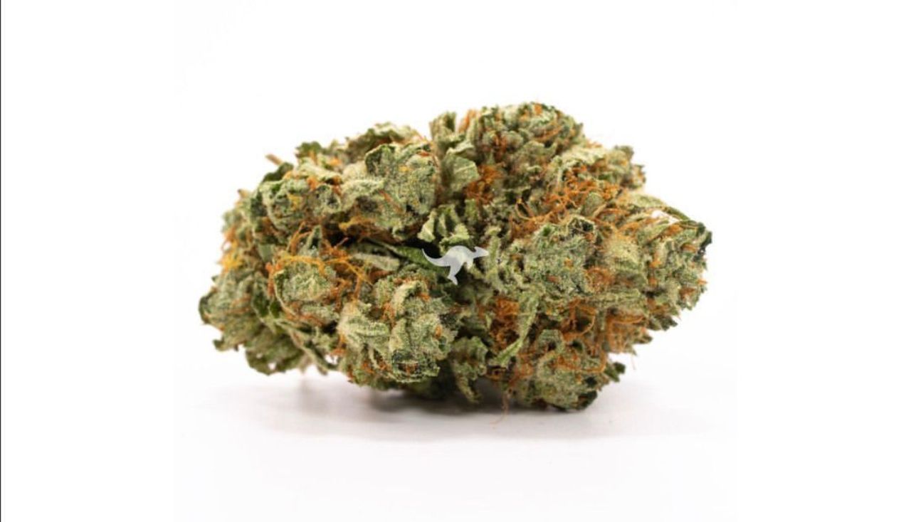 hindu kush buy marijuana online