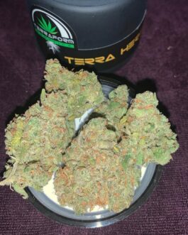 Buy Weed in Dubai