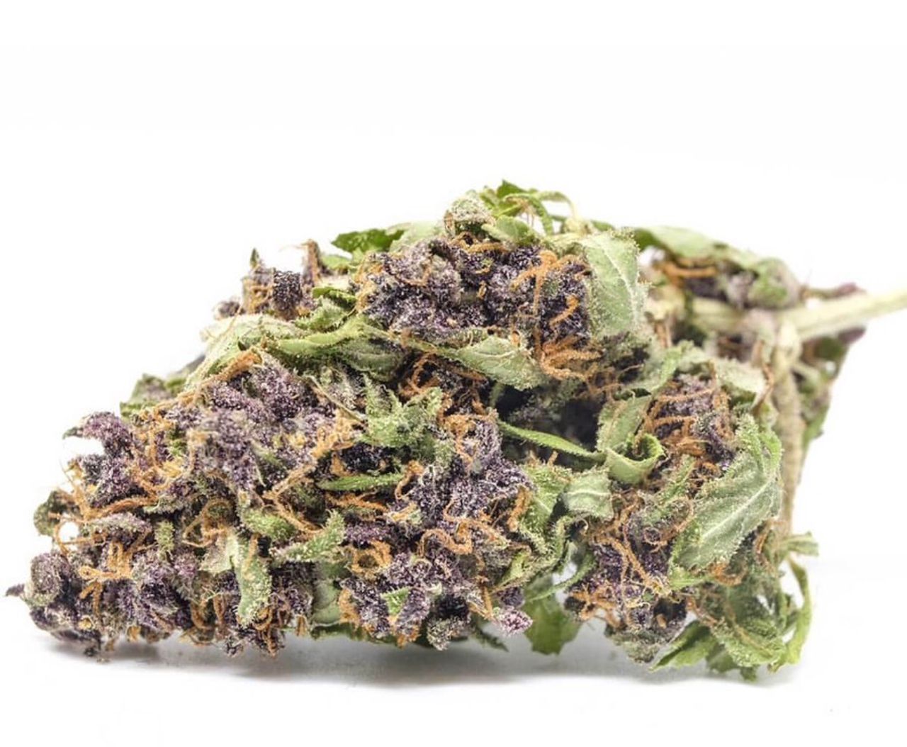 purple haze buy marijuana online